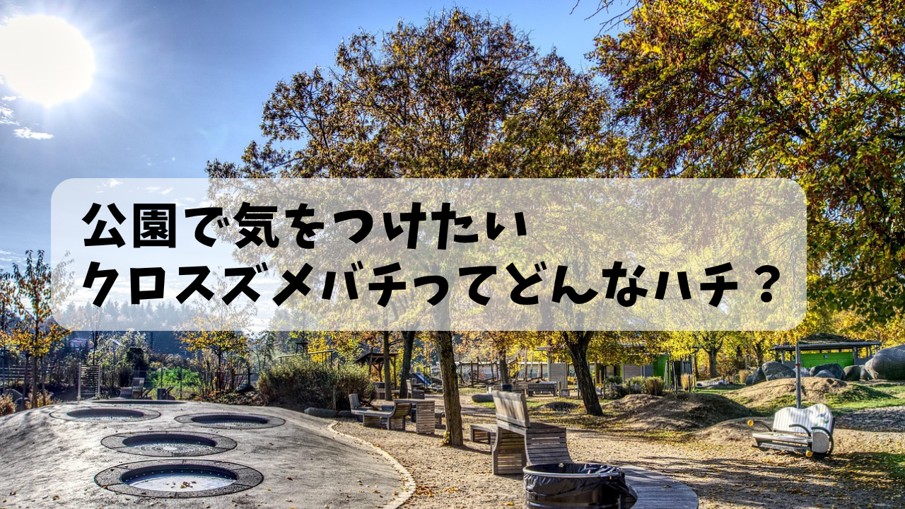 公園で気をつけたいクロスズメバチってどんなはち？