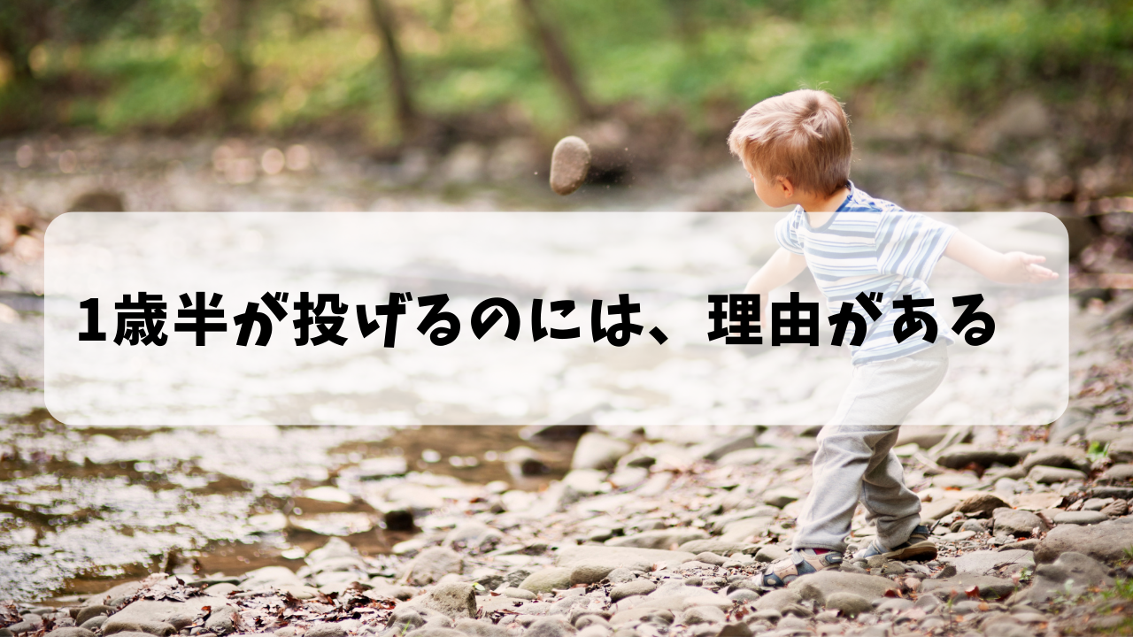 1歳半が投げるのには理由がある